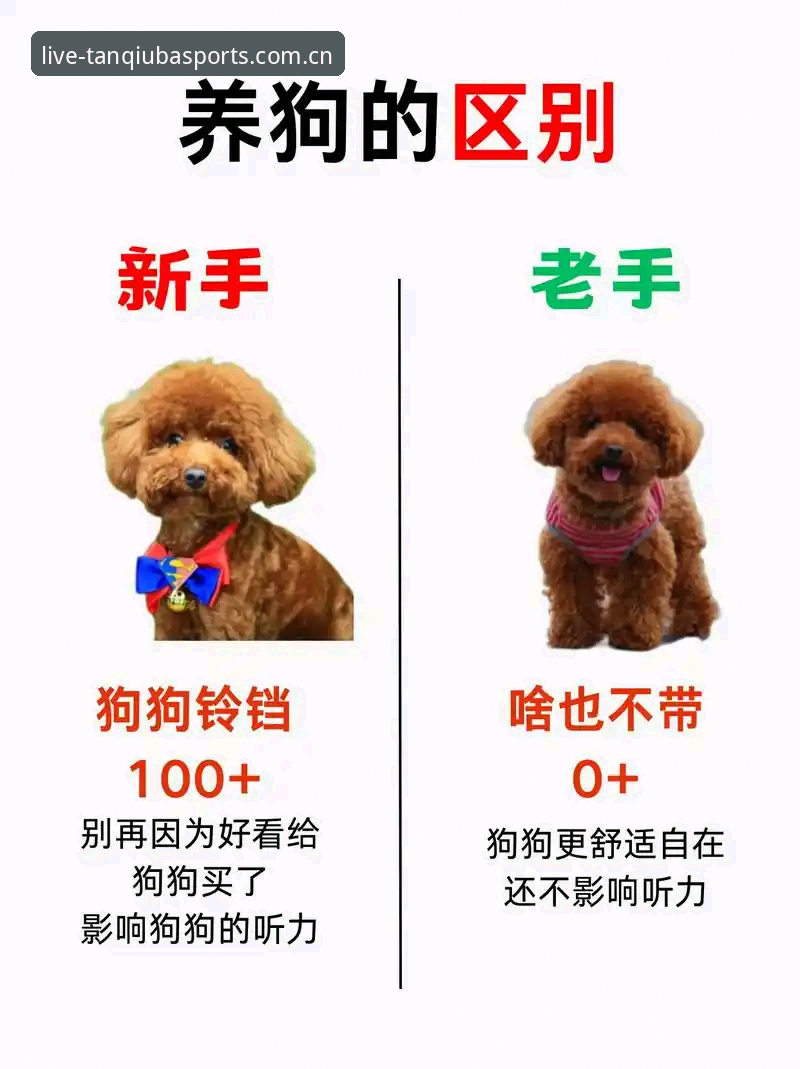 谈球吧直播推荐常见问题 谈球吧直播推荐常见问题对比分析:新手vs老手如何选择最佳方案?